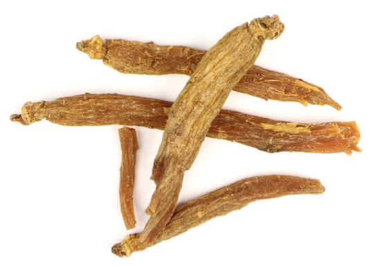 Ginseng root