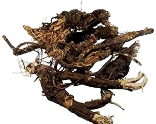 Osha root