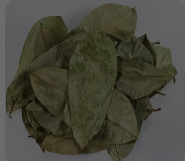 Soursop leaves